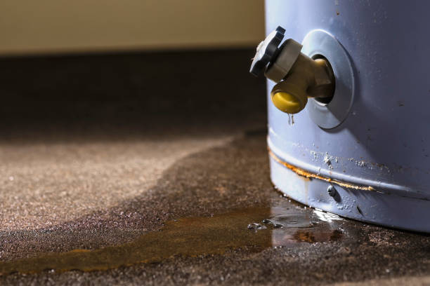 Best Fire Damage Restoration  in Lewiston, CA