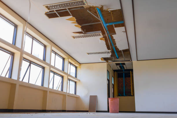 Best Sewage cleanup and water damage restoration  in Lewiston, CA