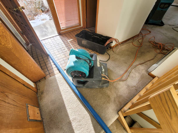 Best Water damage restoration mold remediation  in Lewiston, CA