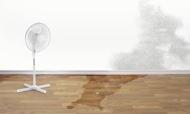 Best Water damage contractors near me  in Lewiston, CA