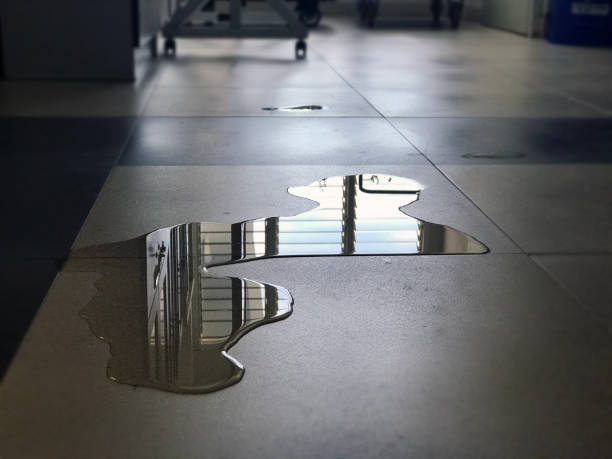 Best 24/7 water damage repair  in Lewiston, CA