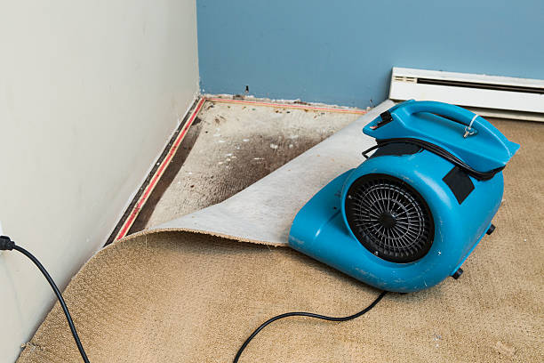 Best Water damage restoration insurance claims  in Lewiston, CA